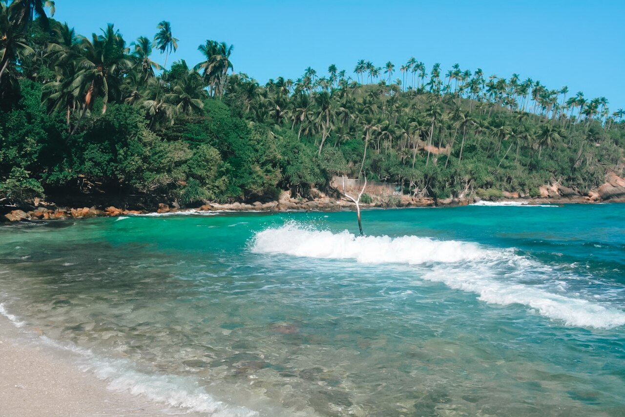 Пальмы и побережье Secret Beach в Мириссе, Шри-Ланка